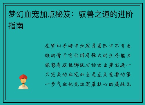 梦幻血宠加点秘笈：驭兽之道的进阶指南